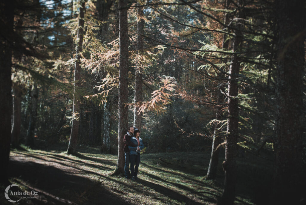 Preboda en el bosque